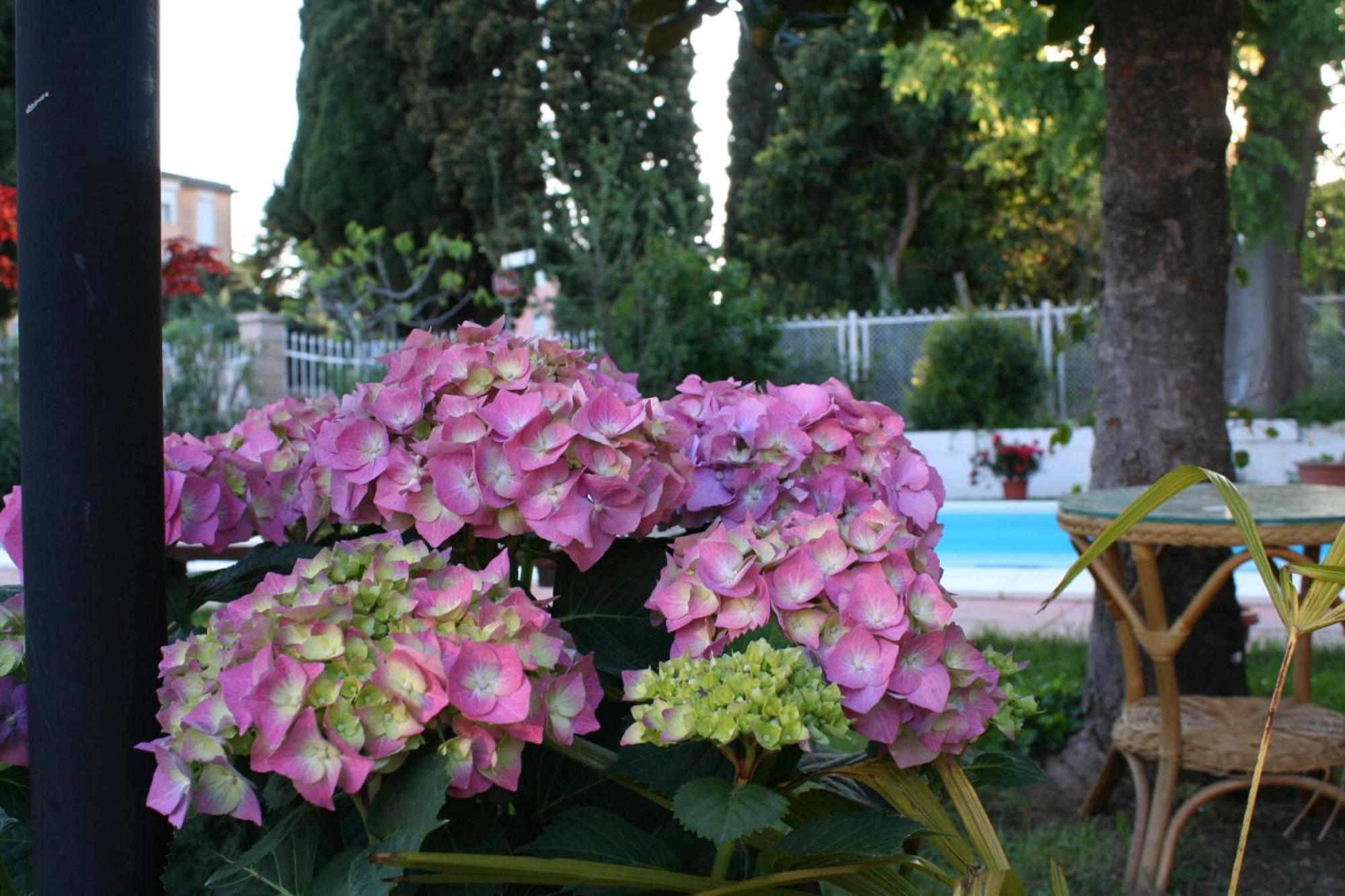 B&B Desenzano Desenzano del Garda Exterior photo