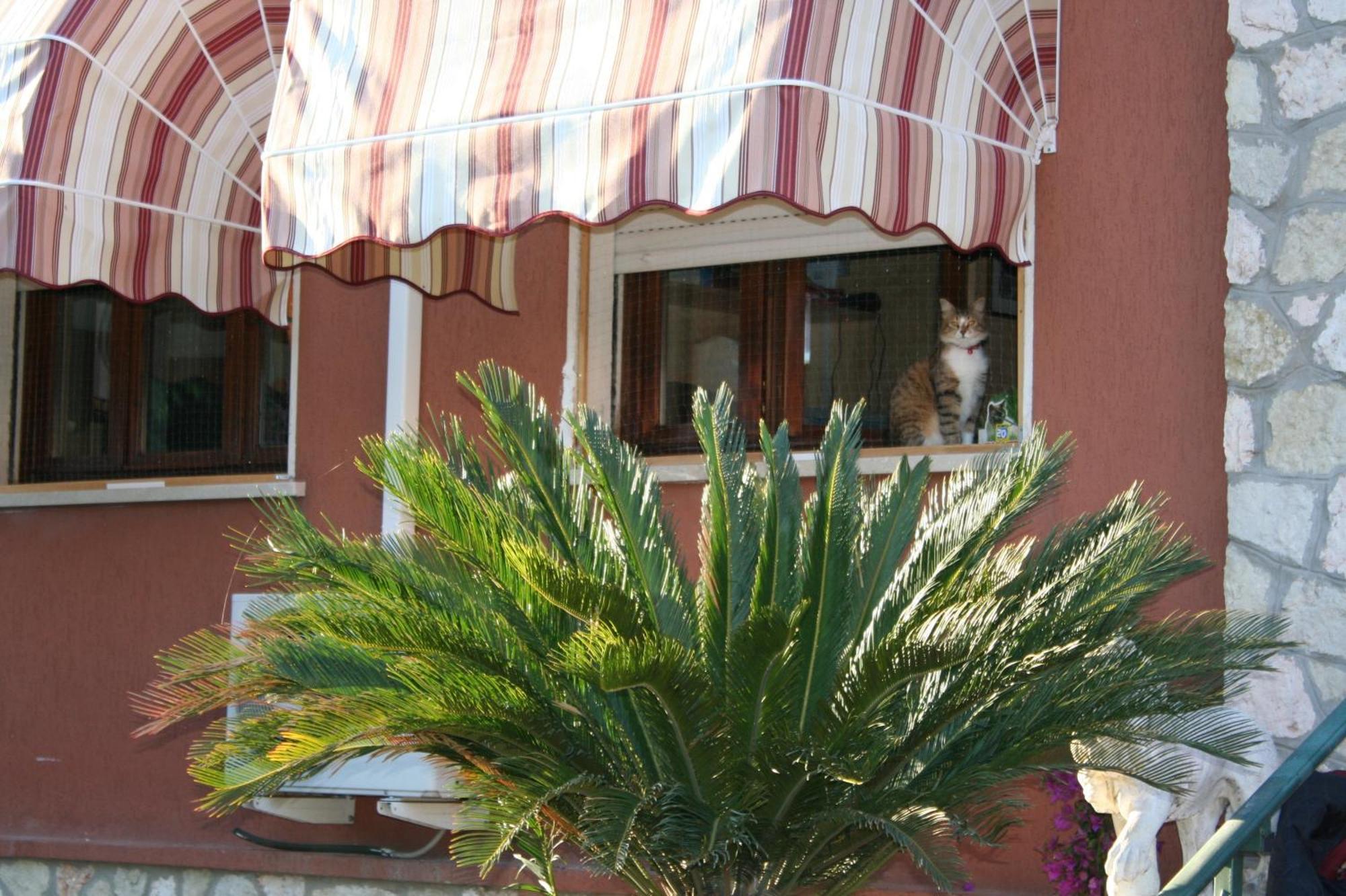 B&B Desenzano Desenzano del Garda Exterior photo